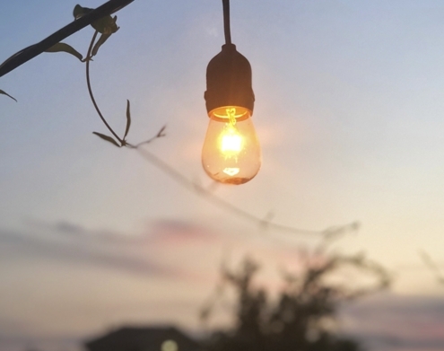 The lightbulb moment Why Your Business Needs SEO